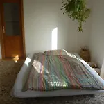 Apartmán Am Innradweg *