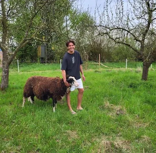 Διαμέρισμα Am Innradweg *